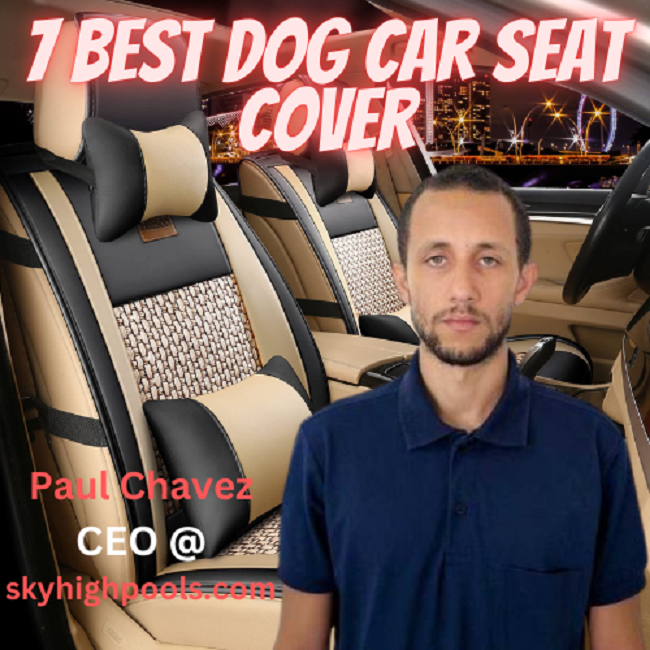 Best dog car seat cover